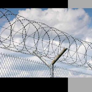 Ein Blick in die Kunsttherapie in der Justizvollzugsanstalt Köln