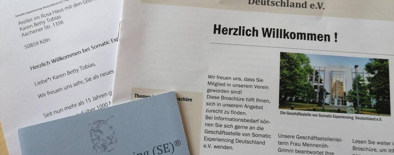 Somatic Experiencing (R) Stressreduktion und Balance