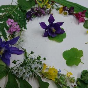 Die Natur als Inspiration und Kraftquelle